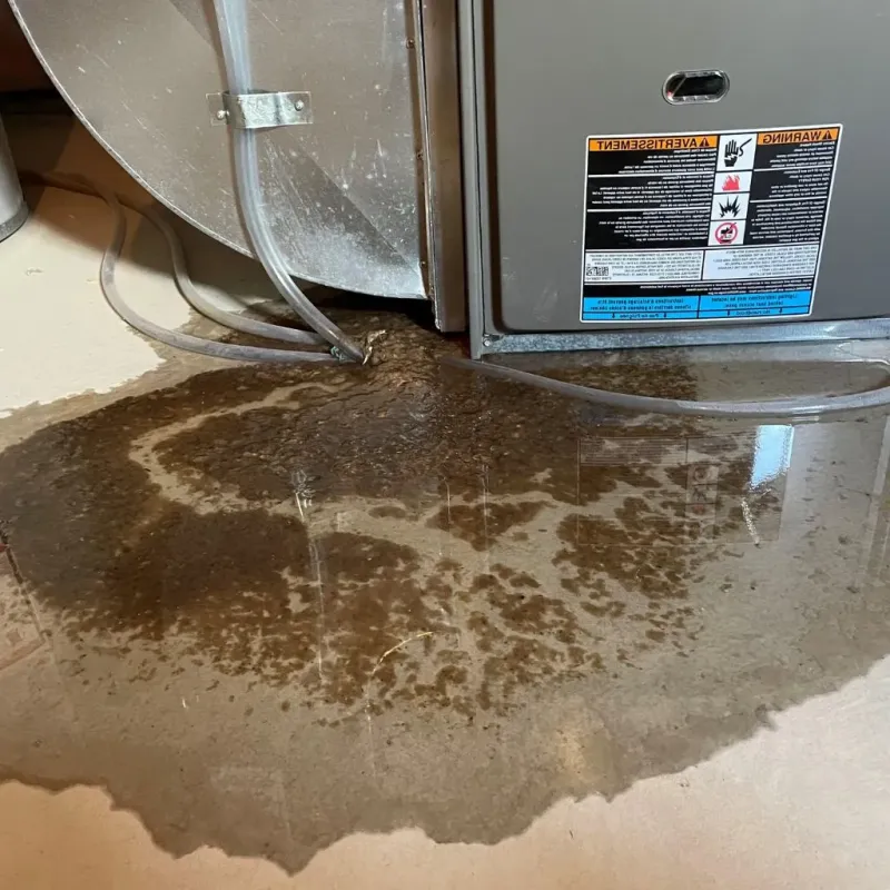 Pipe Burst and Leak Restoration in Millbourne, PA